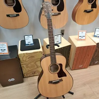 Taylor Guitars - GTE URBAN ASH